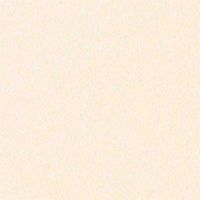 Cartulina METAL Crema (+1.35€)